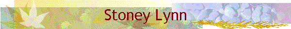 Stoney Lynn